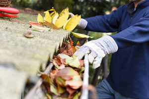 Gutter cleaning in North Brunswick, gutter clogged with leaves being cleaned out by a gloved hand
