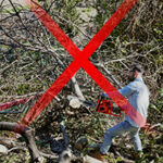 Man using chainsaw surrounded by downed tree limbs & branches